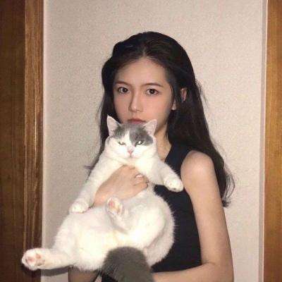 恋恋驯龙记破解版下载